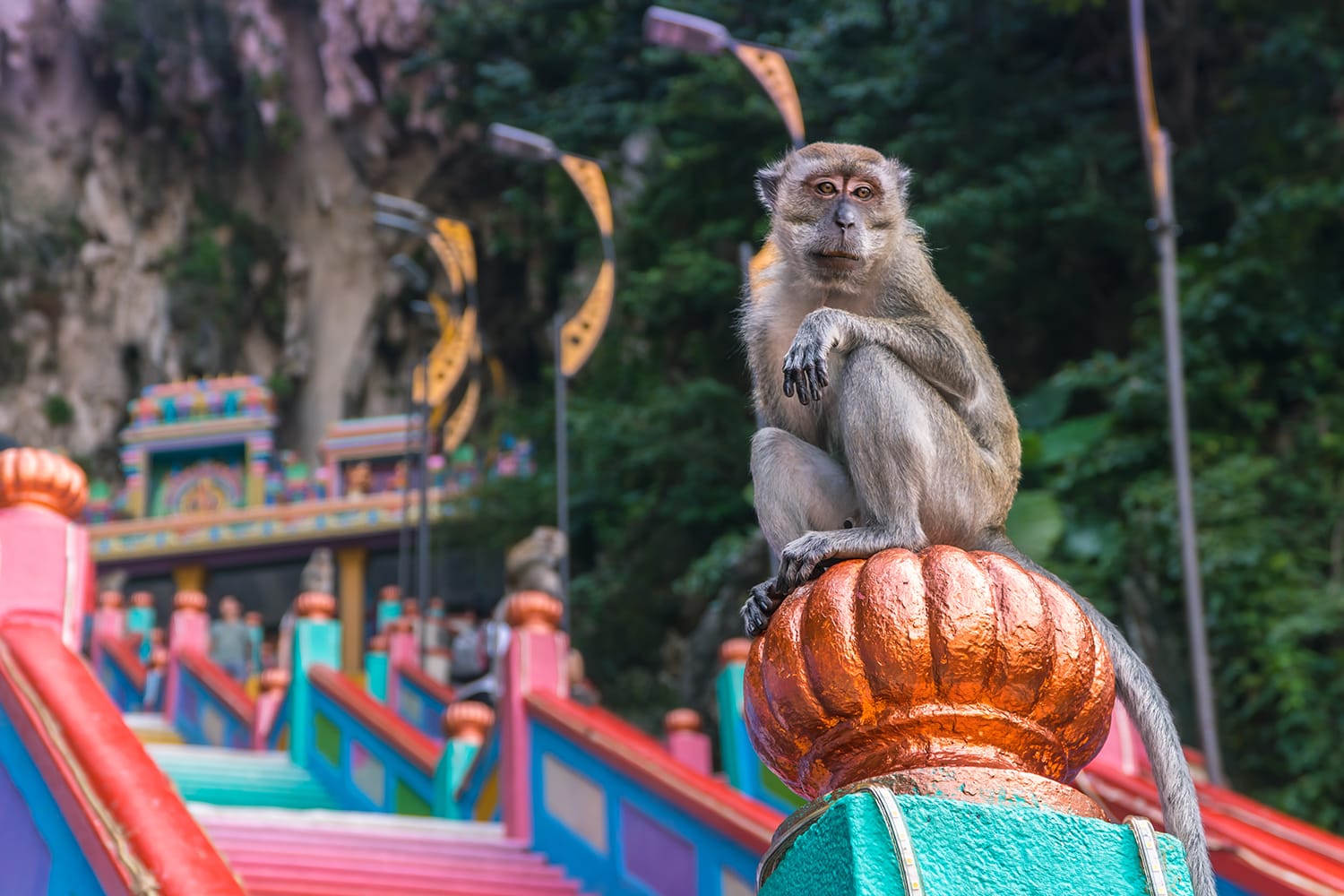 batu-caves-malaysia-shutterstock_1242834991.jpg